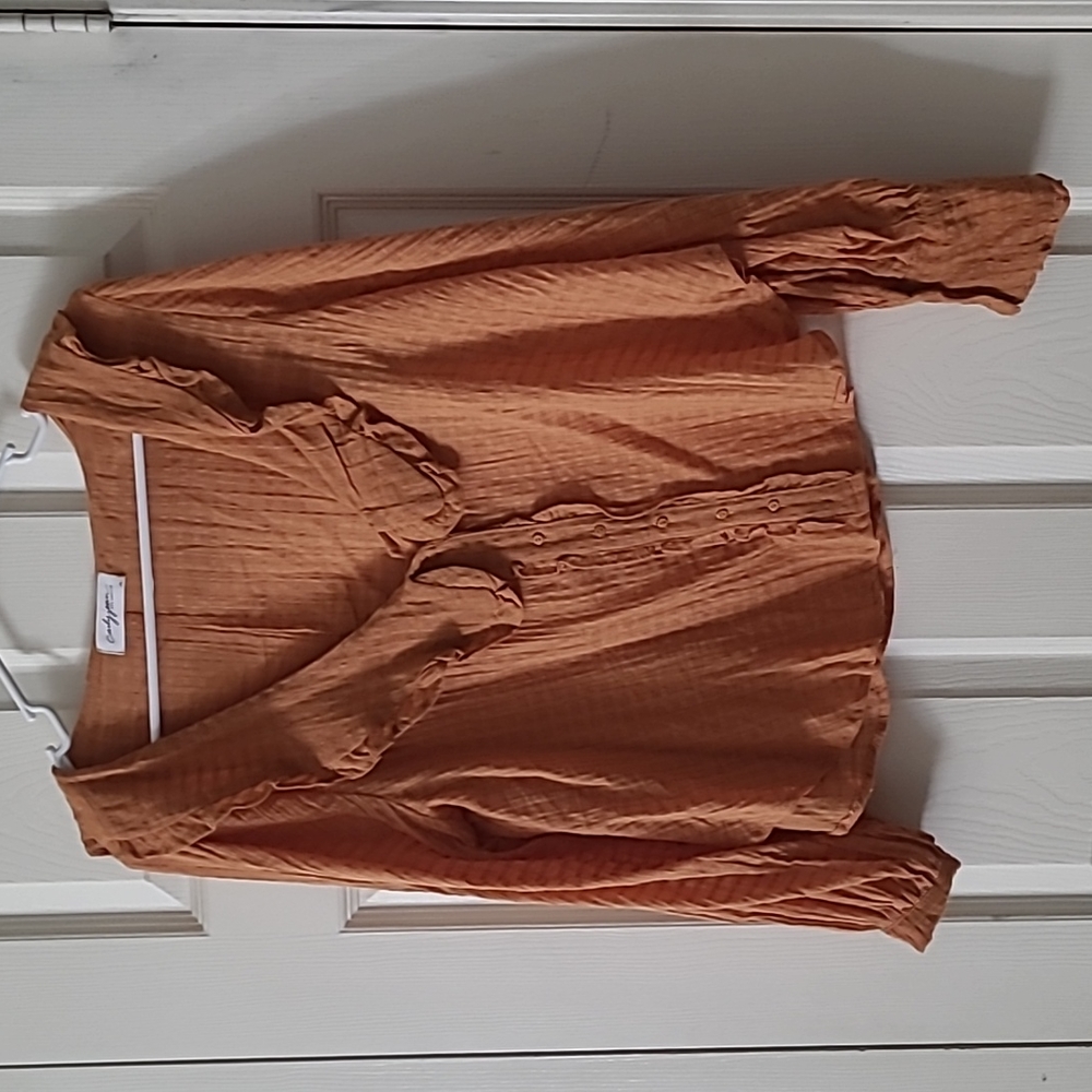 CJLA Pecan Semi Sheer Blouse